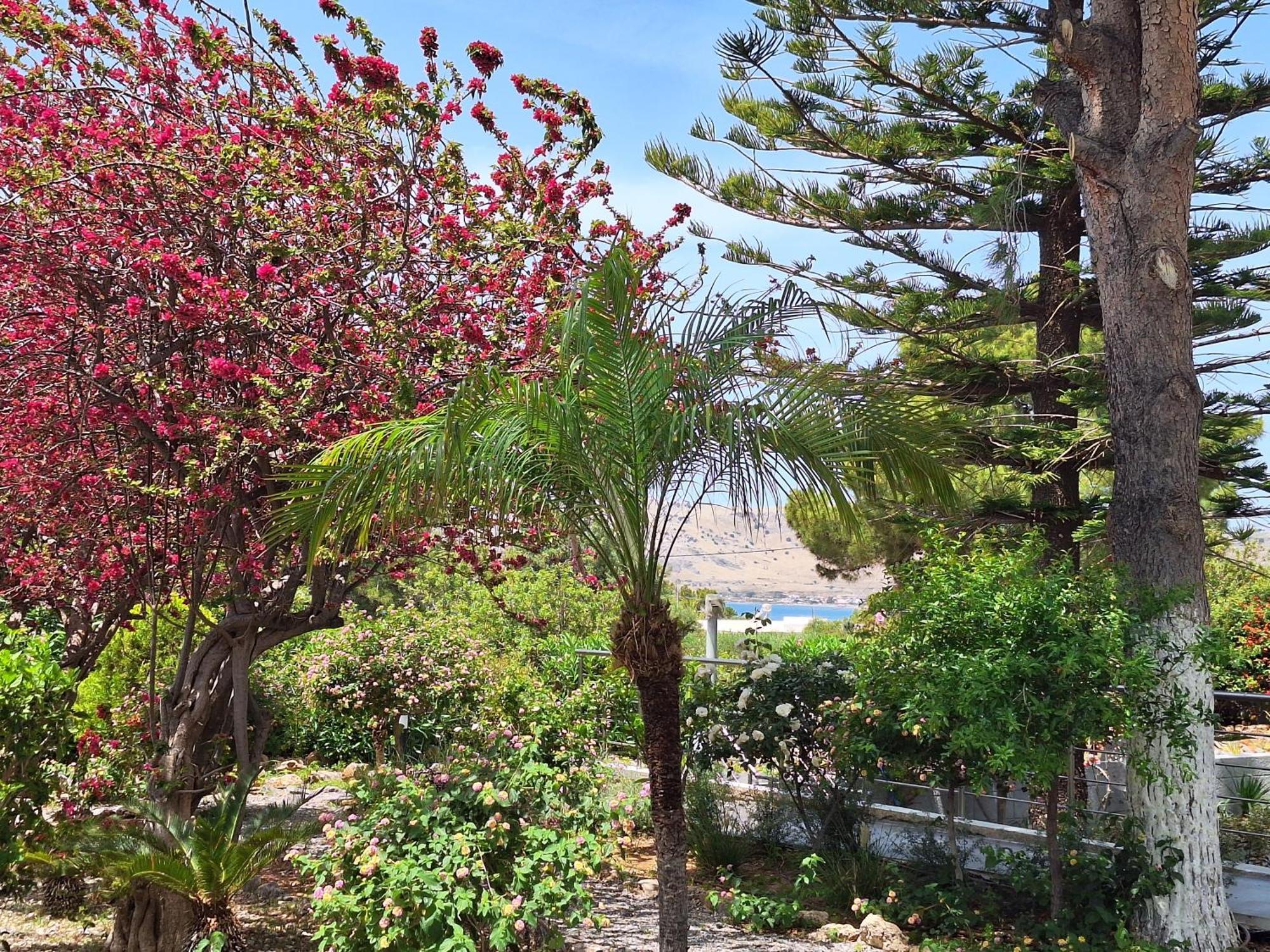 Pefki  George Beach Studios מראה חיצוני תמונה